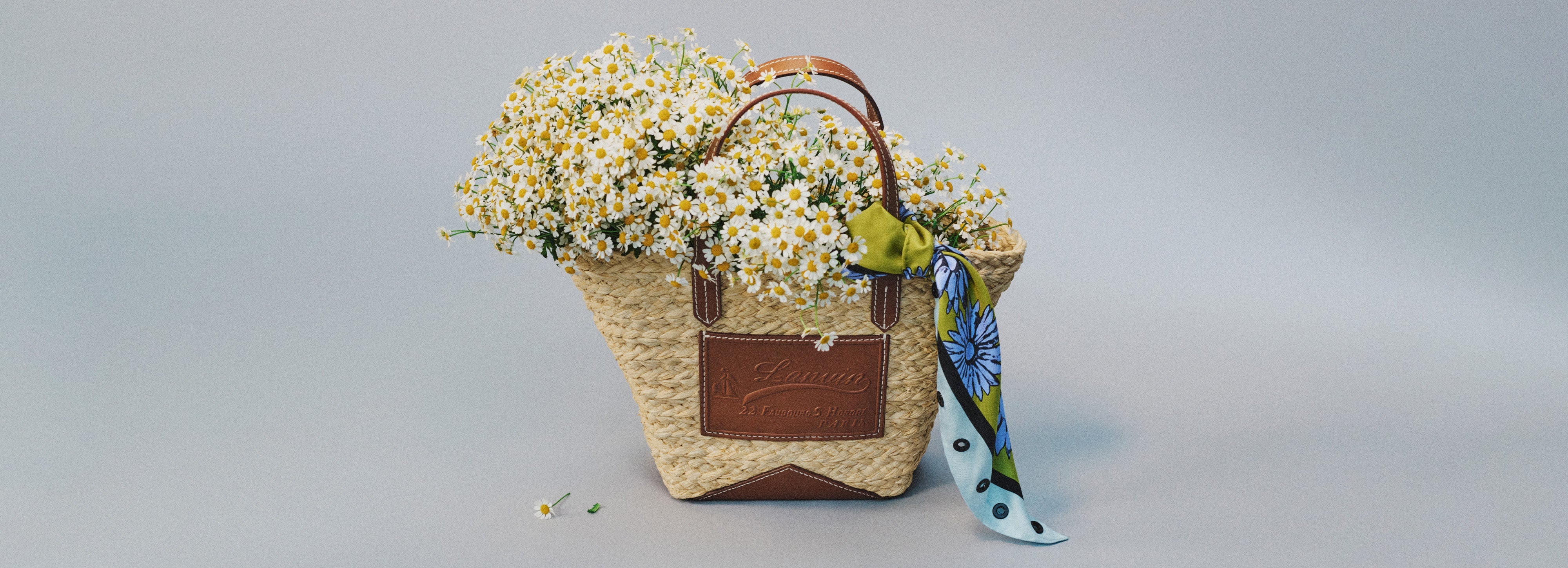 Spring  2026 Collection for Women